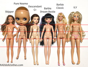 Barbie Dream Besties Review & Sizing