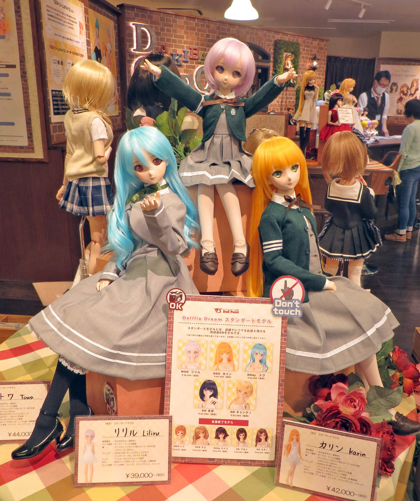 Doll Shopping in Akihabara